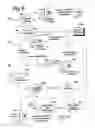 Fig. 13 - Electronic call assistants with shared database
