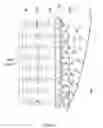 Fig. 06 - Sound device provided with a geometric and electronic radiation control