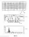 Fig. 12 - System and method for using individualized mixed document