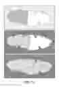 Fig. 09 - Lumen tracking in computed tomographic images