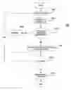 Fig. 01 - Method and apparatus for white balancing digital images