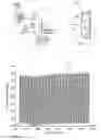 Fig. 03 - Analyzing the quality of an optical waveform