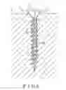 Fig. 06 - Screw with ridges and grooves between threads on shank