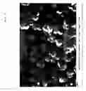 Fig. 04 - Nanocarbon fulerenes (ncf), method for producing ncf and use of ncf in the form of nanocarbons