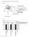 Fig. 02 - Composition for toothbrushing