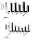 Fig. 03 - Cosmetic microemulsion