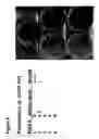 Fig. 09 - Methods and compositions for improving the health and appearance of skin