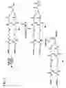 Fig. 08 - Releasable polymeric conjugates based on aliphatic biodegradable linkers