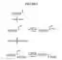 Fig. 03 - Polymeric reagents comprising a ketone or a related functional group