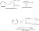 Fig. 93 - Polymeric reagents comprising a ketone or a related functional group