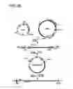 Fig. 05 - Self-rearranging DNA vectors