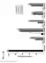 Fig. 24 - Self-rearranging DNA vectors