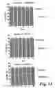 Fig. 17 - Therapeutic Systems