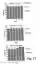 Fig. 19 - Therapeutic Systems