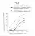 Fig. 04 - Method of modulating the activity of functional immune molecules