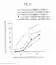 Fig. 04 - Method of modulating the activity of functional immune molecules to CXCR4 protein