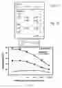 Fig. 05 - Anti-CD19 antibody composition and method