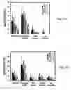 Fig. 06 - Anti-CD19 antibody composition and method