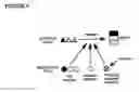 Fig. 07 - Suppression of transplant rejection