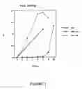 Fig. 02 - Human papilloma virus immunoreactive peptides