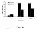 Fig. 16 - Yeast-antigen compositions methods of making the same