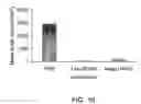 Fig. 20 - Yeast-antigen compositions methods of making the same