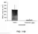 Fig. 22 - Yeast-antigen compositions methods of making the same