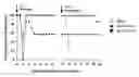 Fig. 01 - Genetic immunization against cervical carcinoma