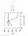 Fig. 02 - Modified SEB and prophylactics/remedies for immunopathy containing the same
