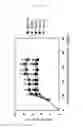 Fig. 07 - Modified SEB and prophylactics/remedies for immunopathy containing the same