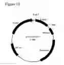 Fig. 22 - Allergy inhibitor compositions and kits and methods of using the same