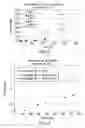 Fig. 03 - Stable and palatable oral liquid sumatriptan compositions