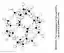 Fig. 02 - Skin Whitening Methods and Compositions Based on Zeolite - Active Oxygen Donor Complexes