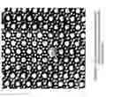 Fig. 04 - Skin Whitening Methods and Compositions Based on Zeolite - Active Oxygen Donor Complexes