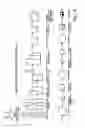 Fig. 02 - Osteogenic proteins