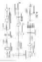 Fig. 03 - Osteogenic proteins
