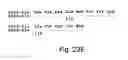 Fig. 34 - Osteogenic proteins