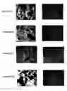 Fig. 08 - Composition and method for issue repair and regeneration