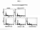 Fig. 08 - Anticancer or antiviral composition