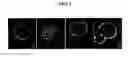 Fig. 02 - Extracts of houttuynia cordata and rubus coreanus and their composition for preventing and treating allergic diseases