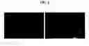 Fig. 05 - Extracts of houttuynia cordata and rubus coreanus and their composition for preventing and treating allergic diseases