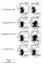 Fig. 08 - Plant extracts and uses thereof