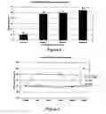 Fig. 03 - Composition and method to augment and sustain neurotransmitter production