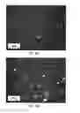 Fig. 13 - Method and system for making extruded portions of cheese