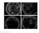 Fig. 01 - Methods and compositions for thickening, stabilizing and emulsifying foods