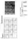 Fig. 05 - Methods and compositions for thickening, stabilizing and emulsifying foods