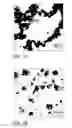 Fig. 04 - Ni and Ni/NiO core-shell nanoparticles