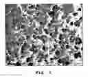 Fig. 02 - Process for preparing superhydrophobic surface compositions, surfaces obtained by said process and use of them