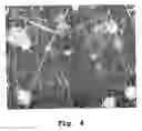 Fig. 05 - Process for preparing superhydrophobic surface compositions, surfaces obtained by said process and use of them