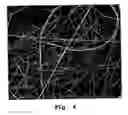 Fig. 07 - Process for preparing superhydrophobic surface compositions, surfaces obtained by said process and use of them